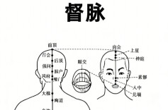 立春养阳正当时！督脉灸助你告别倒春寒，全身暖透不发冷