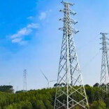 国网娄底客户服务中心：贴心服务助力企业降本增效