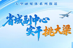 省域副中心 实干挑大梁④｜刘世奇：写好“四篇文章” 打造内陆地区改革开放高地