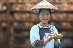 风起湖湘潮·委员讲亲历丨龙燕：保靖黄金茶 一片叶子的致富密码