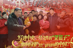 经纬线·写进中央一号文件的“菜篮子”，如何守护热气腾腾的中国？