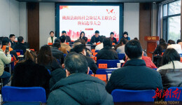 凝心聚“新”！桃源县举行新的社会阶层人士联合会换届大会