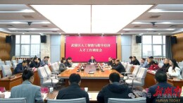 武陵区部署人工智能与数字经济人才库建设