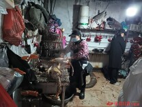 禽味暖新春 怀化年货市场鸡鸭供销旺