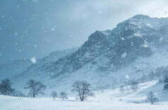 诗歌丨龙潜塘的雪（外二首）