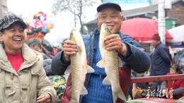 新春走基层丨乡集暖民心 烟火抚乡愁