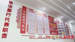 凝心聚力促发展 履职为民谱新篇——常德市武陵区人大常委会2025年工作亮点回眸