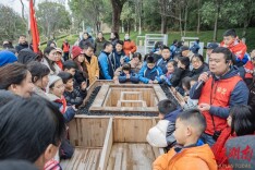 游园迎新春 墨香暖人心