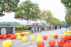 张灯结彩迎新春