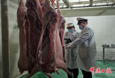全国首次！常德产冰鲜猪肉成功“抢滩”狮城市场