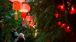 16楼深读周刊丨一起来做年味“主理人”