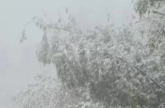 “冷气”还没关！湘西北部分地区或再降雪