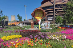 在首钢园也能领结婚证了，2月13日起开放