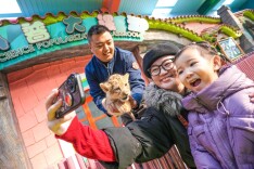 来动物园过大年！北京野生动物园新春系列活动上新