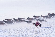 贺娇龙送医抢救细节披露，最后一通电话让人泪目……