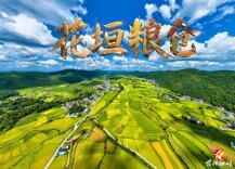 奖补资金全县第一！看花垣县吉卫镇如何守牢1.82万亩“粮袋子”