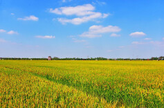 Hunan Takes Lead in Central China for Agricultural Exports