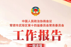 聚焦武陵两会 | 一图看懂政协武陵区常委会工作报告要点