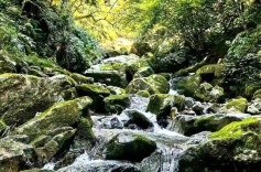 我省物质供给类水土保持生态产品转化交易“破零”——麻阳富硒水，变现几千万