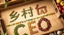 会不会“水土不服”，“乡村CEO”给乡村带来了什么