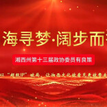 政协委员有良策｜石佳：以“超级IP”破局，让湘西文化被看见更被带走