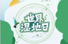 衡南县林业局组织开展“世界湿地日”主题宣传活动