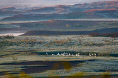 我的2025 | 杨一九：寻常