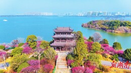 梅映㴩湖阁藏春色