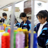 聚焦产教融合共绘发展蓝图