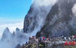 “春节来郴州·福城乐悠游”新闻发布会④丨宜章县推出“‘马’上过大年”系列活动 莽山新春邀客共享瑶乡年味