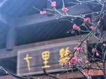 常德本周晴雨切换频繁 除夕可能遇阵雨