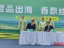 君山蔬菜“圈粉”中亚！22吨大白菜、甘蓝首发哈萨克斯坦