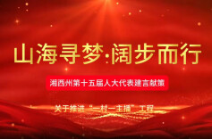人大代表建言献策丨麻红花：以“一村一主播”激活湘西乡村振兴新动能