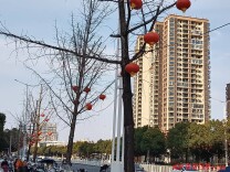 怀化城区红灯笼高挂 街头年味渐浓