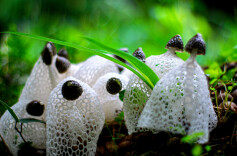 会同，捕捉大自然的味蕾