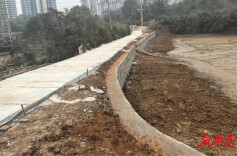 除险固坝护安澜！雁峰区5处山塘“焕新”安心度汛