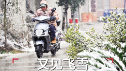 2月10日读报|幸福加码！2026年湖南十大重点民生实事这么干