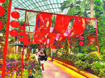 Expertise blooms in Singapore