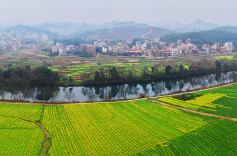春回大地乡村美
