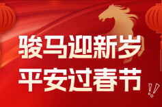 长图 | 骏马迎新岁 平安过春节