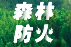 岳阳市全面建立“131”森林火情核查三级联动奖补体系