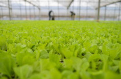 人勤春早管护忙