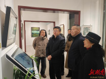 岳阳新春艺术季启幕，五大展览邀您赴一场文化盛宴