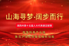 人大代表建言献策丨覃淑芬：做强铝基产业链 激活泸溪高质量发展新动能