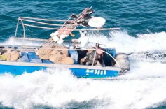 布氏鲸遭渔船撞击受伤 北海涠洲岛发布情况通报