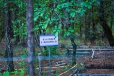 喜报！岳阳市林长制工作受表扬奖补