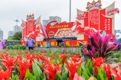 姹紫嫣红迎新春