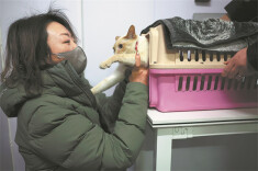 Holidays just got way more paw-sitive for pet owners