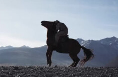 战马贺春！中国军队马年新春主题网宣片《抵达》正式发布