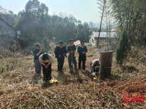 清墓园、禁燃放，桃江村民用行动践行文明祭祀新风尚